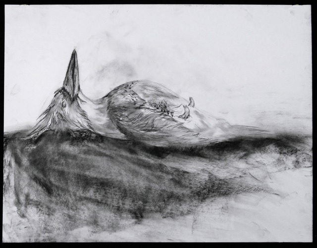 14 drawing I science day