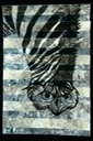 16 animal metamorphosis portrait